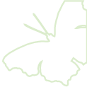 Logo for Emma Goodwin